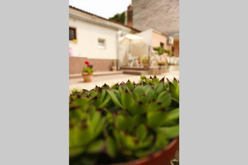 بولا Charming Apartment In Town Center المظهر الخارجي الصورة